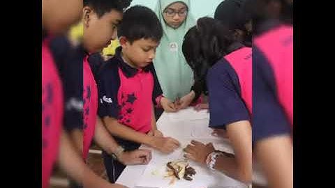 Energy4me 2019 by SPE UM Student Chapter