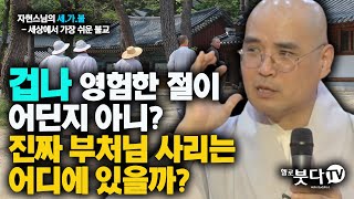 자현스님의 👍세가불(세상에서 가장 쉬운 불교)👏 9회 | 겁나 영험한 절이 어딘지 아니? 진짜 부처님 사리는 어디에 있을까? | 재미 종교 불교 사찰 문화 역사