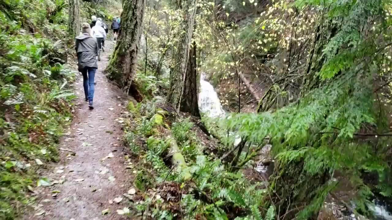 Orcas Island Waterfall Hike