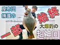 【超神回】サーフヒラメ大爆釣‼️座布団到来‼️一体何が起きた！？釣り過ぎだっぺよ～！