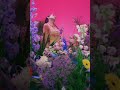 Miniature de la vidéo de la chanson No Eres Tú Soy Yo