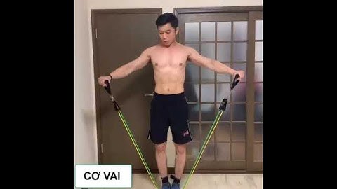 Dây Ngũ Sắc Tập Gym