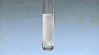 Animation Precipitate Formation