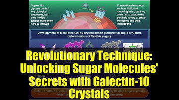 Revolutionary Technique: Unlocking Sugar Molecules