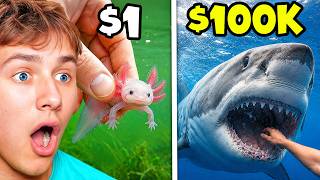 BeckBros React To $1 VS $100,000 Fish