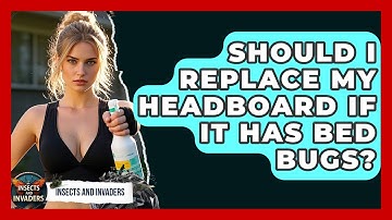 Should I Replace My Headboard If It Has Bed Bugs? - Insects and Invaders
