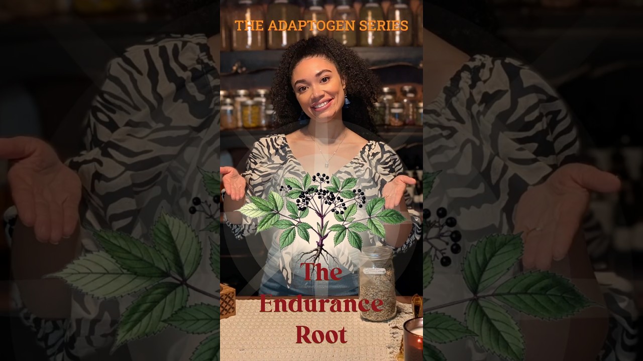 Корень выносливости! 🌿✨ #элеутерококк #адаптогены #траволечение