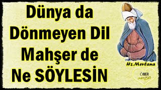 Mevlana Sözleri İlaç Gibi Dünya Da Dönmeyen Dil Mahşer De Ne Söylesin 