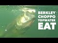 Berkley choppo topwater eat shorts