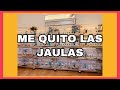 🔊 NOTICION 🔊  Me quito todas las jaulas DIVAL | AVIARIO MASSOT