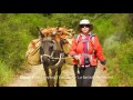 Eselwandern - Randonnée avec un âne - Cévennes - Stevensonweg - Chemin de Stevenson - GR70