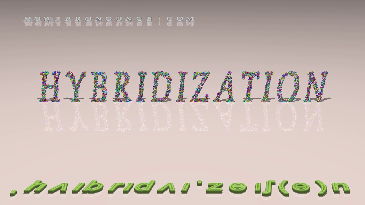 hybridization pronunciation + Examples in sentences and phrases YouTube