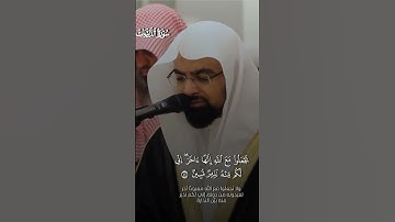 ما تيسر من سورة الذاريات 🤍🎧 #قرآن #قران_كريم #سورة_الذاريات #ناصر_القطامي #تلاوة_خاشعة #المصحف