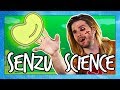 Dragon Ball Z’s Senzu Beans EXPLAINED