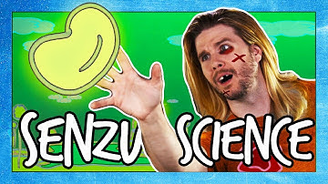 Dragon Ball Z’s Senzu Beans EXPLAINED