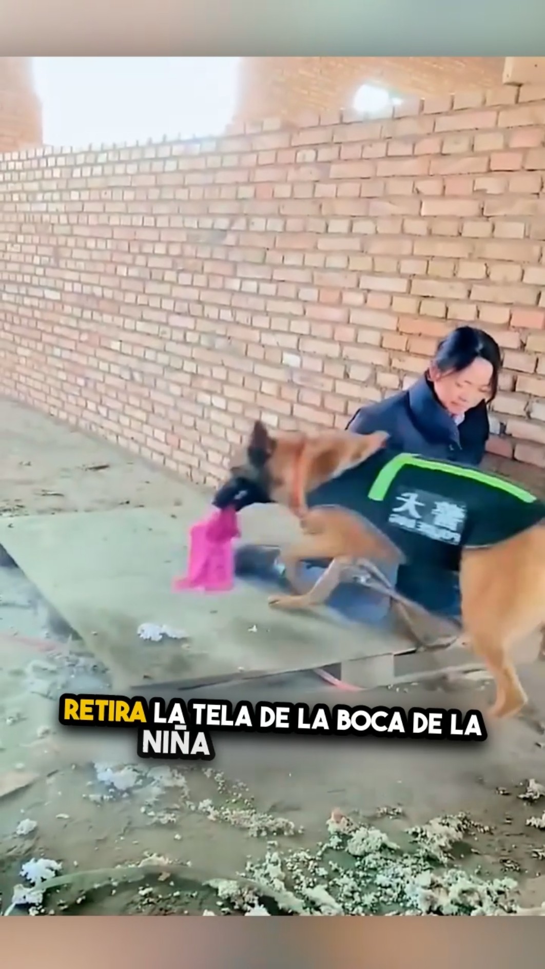 Nadie esperaba lo que hizo este perro por ella ?❤️