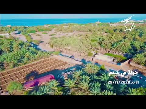 جولة في شعم تصوير ومونتاج محمد الفهد