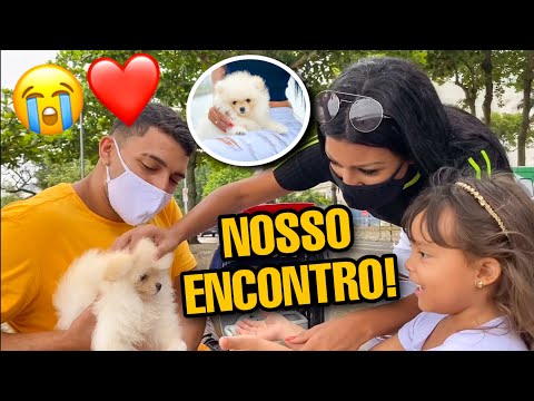 Vídeo: Como eu conheci meu cachorro - encontrar Jake