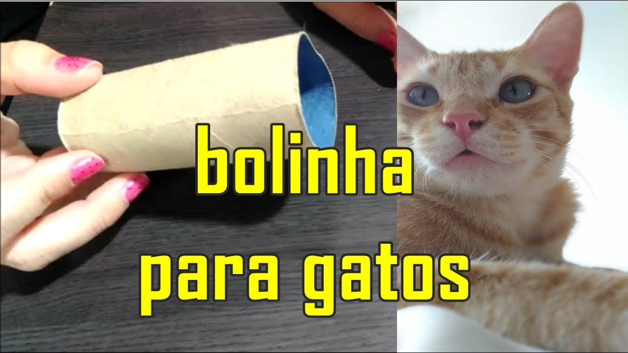 Um gato com uma varinha mágica nas patas