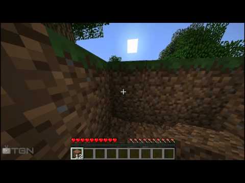How to Survive in Minecraft for Millions of Days
