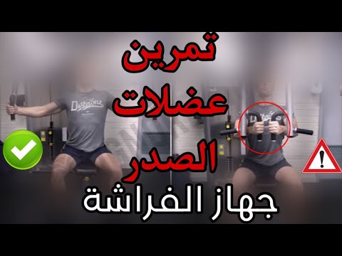 جهاز الفراشة للصدر بالشرح تمرين صدر 