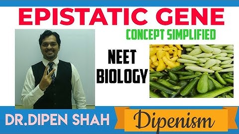 EPISTASIS | INTERGENIC / NONALLELIC INHERITANCE | Principles of Inheritance Class 12 #NEET #Dipenism