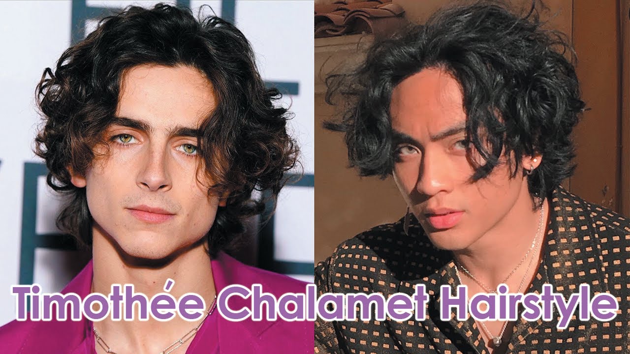 timothee chalamet hair