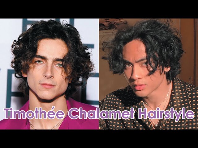 Timothée Chalamet Inspired Hairstyle Tutorial 