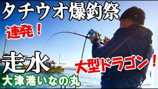 大型タチウオが爆釣祭り！出るかドラゴン！誰でも楽しめる大物釣り←天秤タチウオ釣り方の全て！【走水／いなの丸】