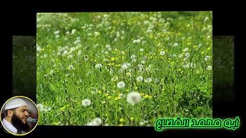 113 القارىء غسان الشوربجي سورة الفلق