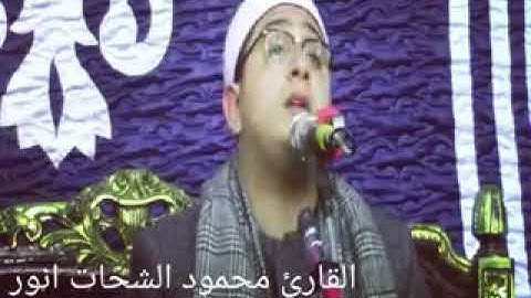 الشيخ محمود الشحات انور يبدع في سورة الضحي