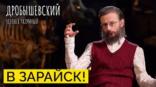картинка: Как древние жили в Подмосковье — на Зарайский стоянке / Дробышевский. Человек разумный