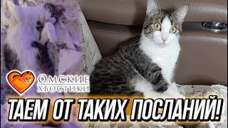 Таем от таких посланий! | Мята