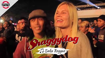[OFFICIAL MB2016] SHAGGYDOG TERBARU | SUKA REGGAE[Live Konser Mari Berdanska 2016 di Bandung]
