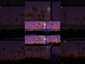 PORFÍN METERÁN ESTO EN TERRARIA 😺 #terraria  #juegos #juegosandroid #maketerraria #make