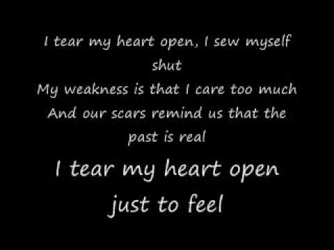 papa roach - scars acoustic lyrics