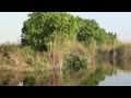 A cruise through Okavango Delta -- Crociera sul Delta dell&#39; Okavango