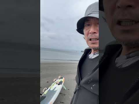 windsurfing at 逗子海岸からの寄り屋#windsurfing #逗子 #寄り屋