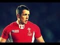 Shane Williams - Rugby Life