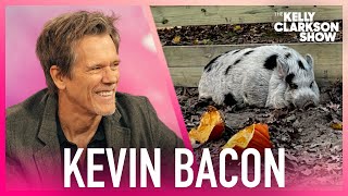 Kevin Bacon Helped Find Namesake Runaway Pig