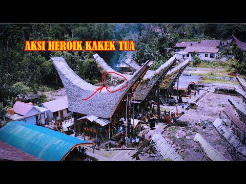 Aksi Heroik Kakek Tua Toraja