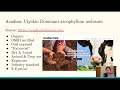 Using Seaweed Fertilizer in Forage Crops &amp; Animals