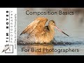 Composition Basics For Bird Photographers