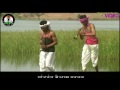 Yedunge Saga Nawa || Adiwasi Gondi Video Song HD || Pandurang Meshram Present Mp3 Song