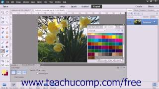 Photoshop Elements 13 Tutorial Selecting Colors with the Swatches Panel Adobe Training