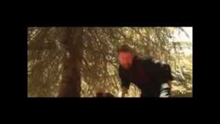Wild Trailer