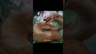 Largest Snake Ever Found Vasuki Indicus