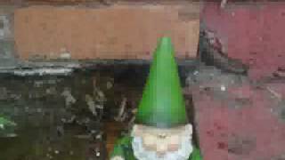 You Garden Gnome