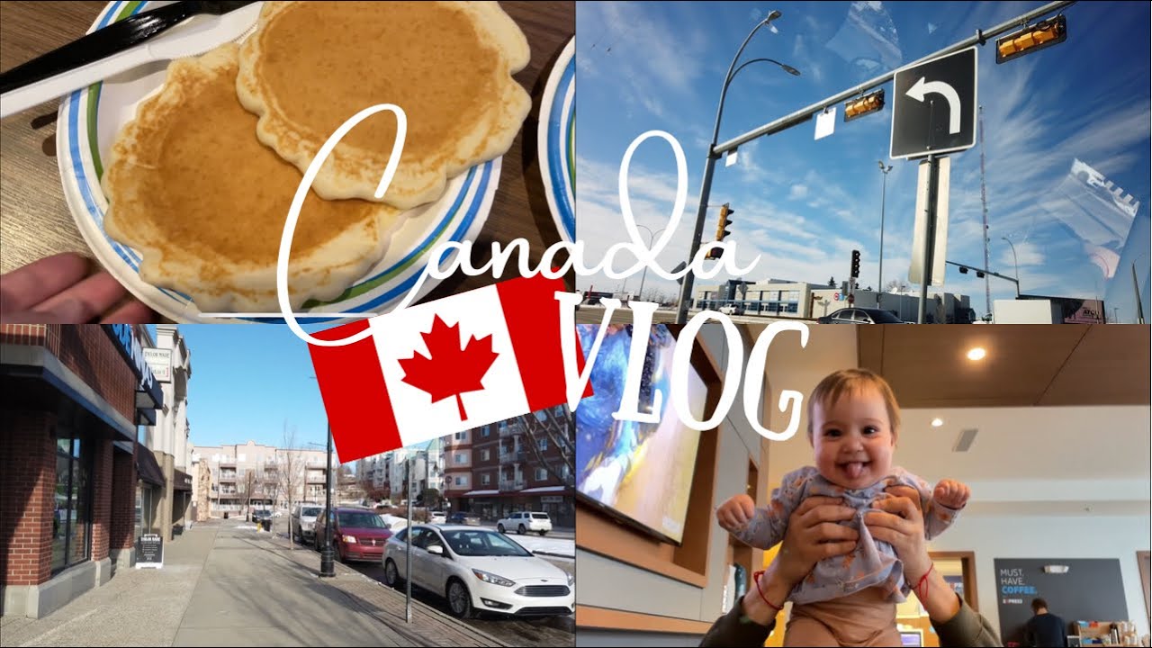 VLOG: Волк на трассе! Город St. Albert.Правила проживания в квартирах в Канаде.10.03.2022