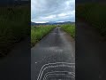 美空ひばり【ハハハ】
